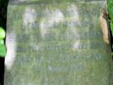image of grave number 70882